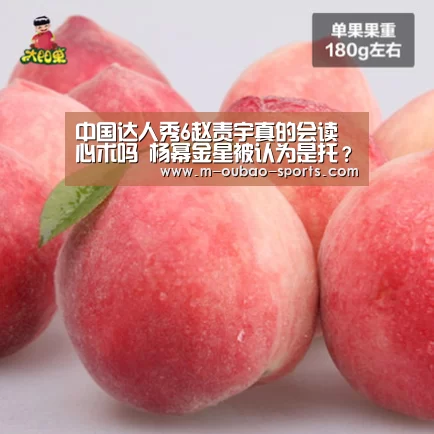 中国达人秀6赵责宇真的会读心术吗 杨幂金星被认为是托?:欧宝app下载(图2) 欧宝平台官方入口