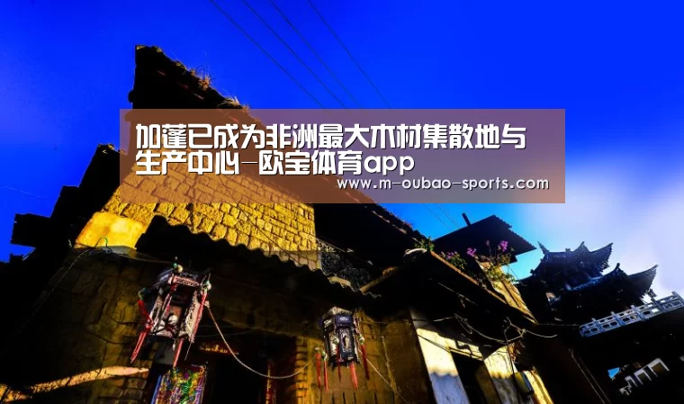 加蓬已成为非洲最大木材集散地与生产中心-欧宝体育app(图3) 欧宝体育
