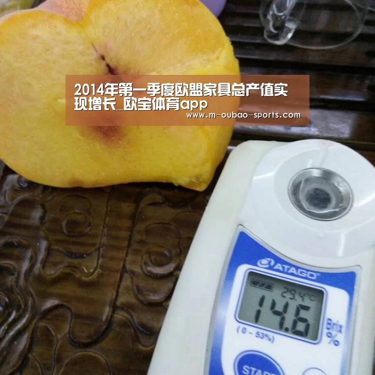 2014年第一季度欧盟家具总产值实现增长_欧宝体育app(图2) 欧宝体育app