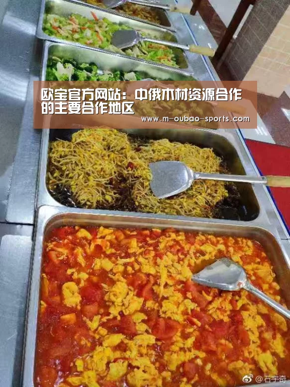 欧宝官方网站:中俄木材资源合作的主要合作地区(图2) 欧宝官网下载